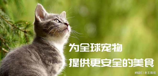 与创新并重打造宠物食品行业新标杆开元棋牌网站汉欧宠物食品厂：品质(图2)