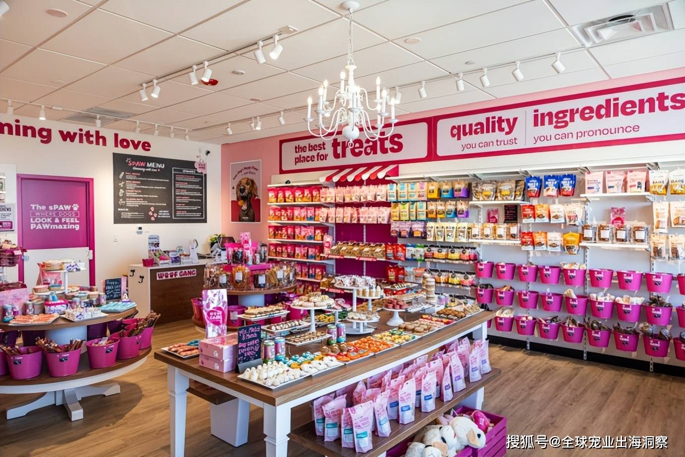 公司要开450家宠物门店开元棋牌年入105亿这家(图4) 公司要开450家宠物门店开元棋牌年入105亿这家(图4)