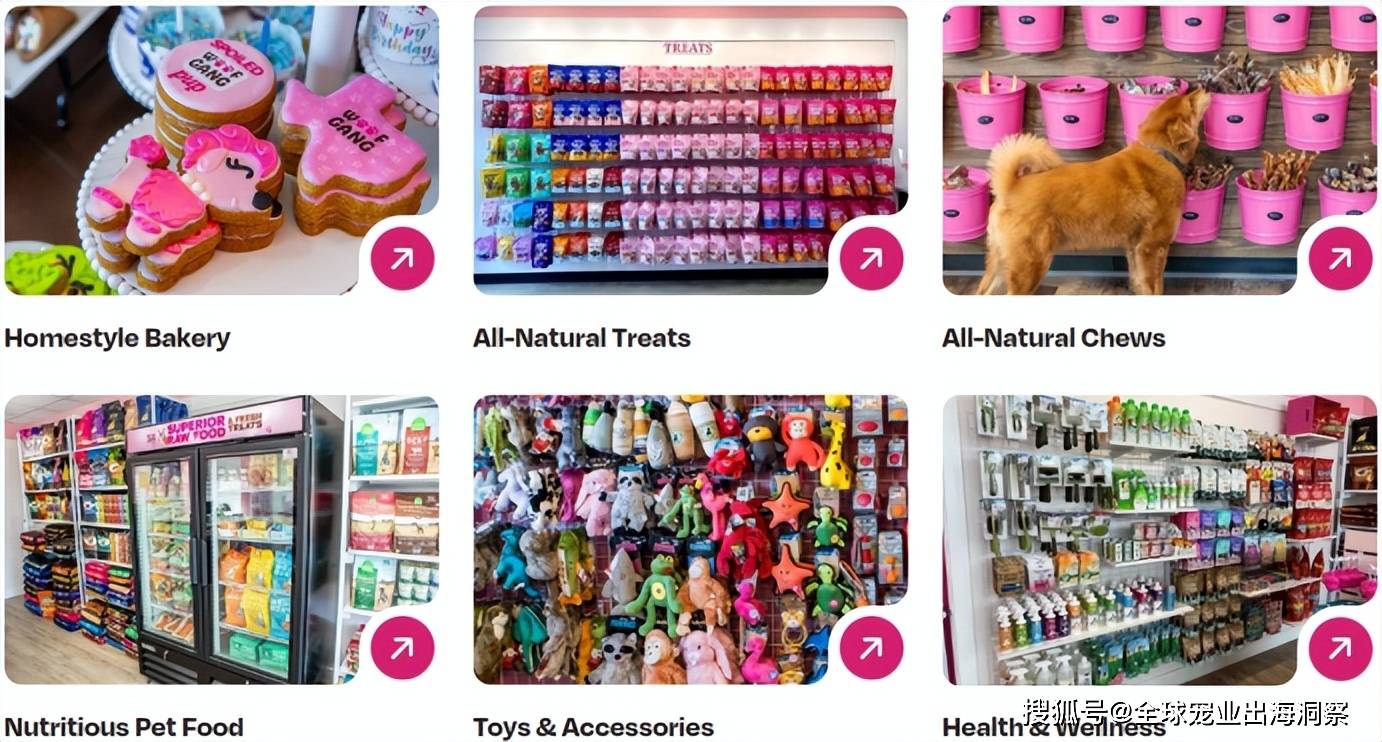 公司要开450家宠物门店开元棋牌年入105亿这家(图3)